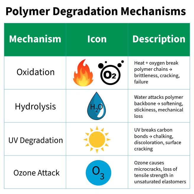 Polymer degradation mechanisms including oxidation, hydrolysis, UV and ozone effects
