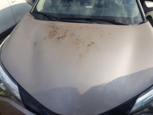 Metal Corrosion on Paint Protection Film (PPF): Causes, Appearance, Prevention, and Solutions