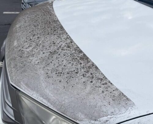 Hydrophobic vs. Hydrophilic PPF: Which Is Better for Coastal Cities?