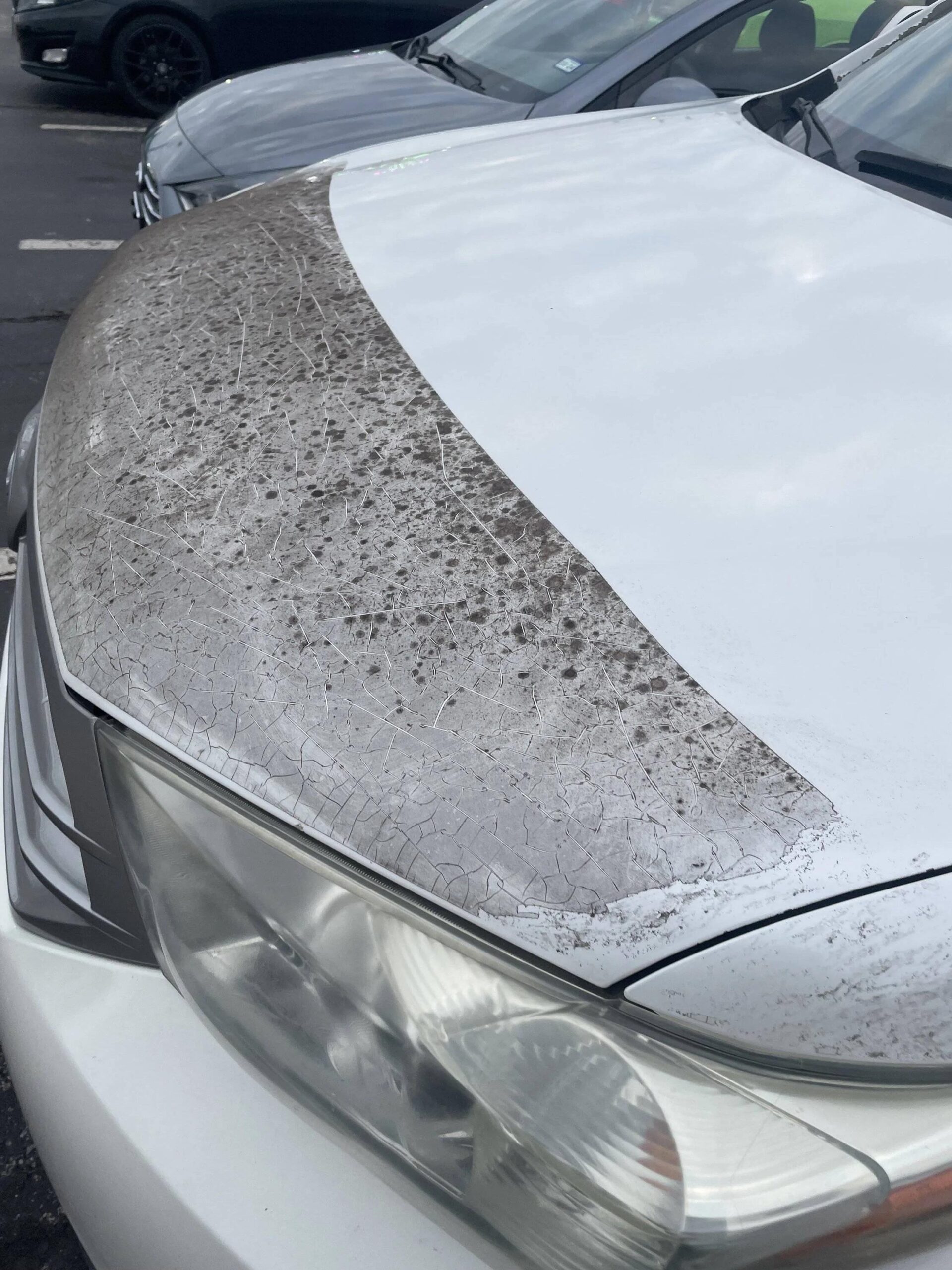 Hydrophobic vs. Hydrophilic PPF: Which Is Better for Coastal Cities?